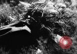 Image of German soldiers France, 1944, second 55 stock footage video 65675045596