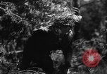 Image of German soldiers France, 1944, second 56 stock footage video 65675045596