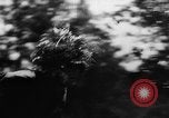 Image of German soldiers France, 1944, second 57 stock footage video 65675045596