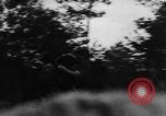 Image of German soldiers France, 1944, second 58 stock footage video 65675045596