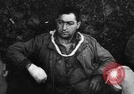 Image des prisonniers de guerre alliés France, 1944, de la seconde 21 séquences d'archives historiques vidéo 65675045597