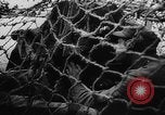 Image allemand bombe volante France, 1944, de la seconde 9 séquences d'archives historiques vidéo 65675045598