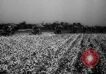 Image des agriculteurs des États-Unis Mississippi United States USA, 1944, de la seconde 7 séquences d'archives historiques vidéo 65675045600