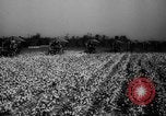 Image des agriculteurs des États-Unis Mississippi United States USA, 1944, de la seconde 8 séquences d'archives historiques vidéo 65675045600