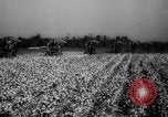 Image des agriculteurs des États-Unis Mississippi United States USA, 1944, de la seconde 10 séquences d'archives historiques vidéo 65675045600
