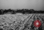 Image des agriculteurs des États-Unis Mississippi United States USA, 1944, de la seconde 11 séquences d'archives historiques vidéo 65675045600