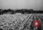 Image des agriculteurs des États-Unis Mississippi United States USA, 1944, de la seconde 12 séquences d'archives historiques vidéo 65675045600