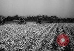 Image des agriculteurs des États-Unis Mississippi United States USA, 1944, de la seconde 13 séquences d'archives historiques vidéo 65675045600