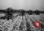 Image des agriculteurs des États-Unis Mississippi United States USA, 1944, de la seconde 16 séquences d'archives historiques vidéo 65675045600