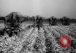 Image des agriculteurs des États-Unis Mississippi United States USA, 1944, de la seconde 19 séquences d'archives historiques vidéo 65675045600