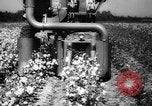 Image des agriculteurs des États-Unis Mississippi United States USA, 1944, de la seconde 20 séquences d'archives historiques vidéo 65675045600