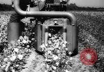 Image des agriculteurs des États-Unis Mississippi United States USA, 1944, de la seconde 21 séquences d'archives historiques vidéo 65675045600