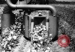 Image des agriculteurs des États-Unis Mississippi United States USA, 1944, de la seconde 22 séquences d'archives historiques vidéo 65675045600