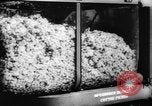 Image des agriculteurs des États-Unis Mississippi United States USA, 1944, de la seconde 37 séquences d'archives historiques vidéo 65675045600