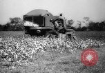 Image des agriculteurs des États-Unis Mississippi United States USA, 1944, de la seconde 45 séquences d'archives historiques vidéo 65675045600