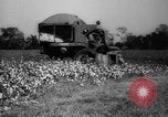 Image des agriculteurs des États-Unis Mississippi United States USA, 1944, de la seconde 46 séquences d'archives historiques vidéo 65675045600