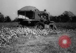 Image des agriculteurs des États-Unis Mississippi United States USA, 1944, de la seconde 47 séquences d'archives historiques vidéo 65675045600