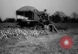 Image des agriculteurs des États-Unis Mississippi United States USA, 1944, de la seconde 48 séquences d'archives historiques vidéo 65675045600