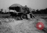 Image des agriculteurs des États-Unis Mississippi United States USA, 1944, de la seconde 51 séquences d'archives historiques vidéo 65675045600