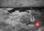 Standbild USA Soldaten Europa, 1944, aus Sekunde 15 historischem Filmmaterial Videoclip 65675045605