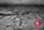 Standbild USA Soldaten Europa, 1944, aus Sekunde 34 historischem Filmmaterial Videoclip 65675045605