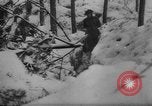 Image of Battle of the Bulge Belgium, 1945, second 9 stock footage video 65675045608