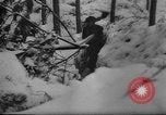 Image of Battle of the Bulge Belgium, 1945, second 10 stock footage video 65675045608