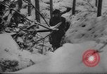 Image of Battle of the Bulge Belgium, 1945, second 11 stock footage video 65675045608