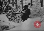 Image of Battle of the Bulge Belgium, 1945, second 12 stock footage video 65675045608