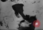 Image of Battle of the Bulge Belgium, 1945, second 27 stock footage video 65675045608