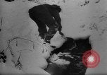 Image of Battle of the Bulge Belgium, 1945, second 28 stock footage video 65675045608
