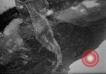 Image of Battle of the Bulge Belgium, 1945, second 31 stock footage video 65675045608