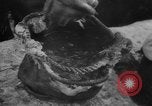 Image of Battle of the Bulge Belgium, 1945, second 37 stock footage video 65675045608