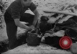 Image of Battle of the Bulge Belgium, 1945, second 38 stock footage video 65675045608