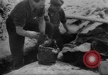 Image of Battle of the Bulge Belgium, 1945, second 39 stock footage video 65675045608