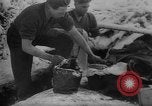 Image of Battle of the Bulge Belgium, 1945, second 40 stock footage video 65675045608