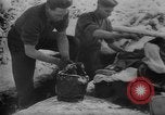 Image of Battle of the Bulge Belgium, 1945, second 41 stock footage video 65675045608