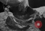Image of Battle of the Bulge Belgium, 1945, second 42 stock footage video 65675045608