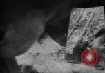 Image of Battle of the Bulge Belgium, 1945, second 45 stock footage video 65675045608