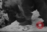 Image of Battle of the Bulge Belgium, 1945, second 50 stock footage video 65675045608