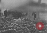 Standbild US Army Kriegsgefangenen und Deutsche Entwicklungen in der nähe von Malmedy Malmedy Belgien, 1944, aus Sekunde 41 historischem Filmmaterial Videoclip 65675045610