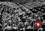 Standbild Stilwell Straße Birma, 1945, aus Sekunde 14 historischem Filmmaterial Videoclip 65675045611