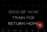 Standbild Armee Hunde United States USA, 1945, aus Sekunde 1 historischem Filmmaterial Videoclip 65675045614