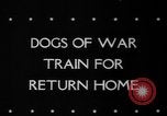 Standbild Armee Hunde United States USA, 1945, aus Sekunde 4 historischem Filmmaterial Videoclip 65675045614