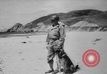 Standbild Armee Hunde United States USA, 1945, aus Sekunde 7 historischem Filmmaterial Videoclip 65675045614