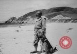 Standbild Armee Hunde United States USA, 1945, aus Sekunde 8 historischem Filmmaterial Videoclip 65675045614