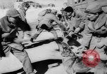 Standbild Armee Hunde United States USA, 1945, aus Sekunde 11 historischem Filmmaterial Videoclip 65675045614