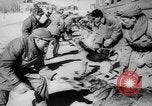 Standbild Armee Hunde United States USA, 1945, aus Sekunde 12 historischem Filmmaterial Videoclip 65675045614