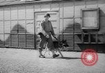 Standbild Armee Hunde United States USA, 1945, aus Sekunde 15 historischem Filmmaterial Videoclip 65675045614