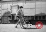 Standbild Armee Hunde United States USA, 1945, aus Sekunde 17 historischem Filmmaterial Videoclip 65675045614